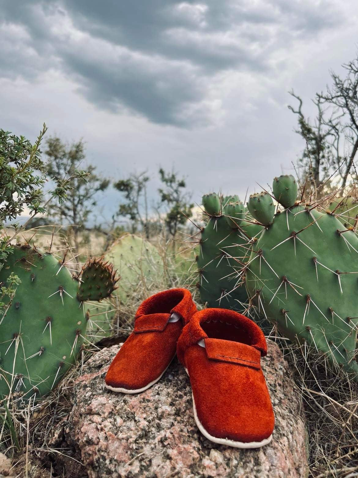 Freshly picked deals cactus moccasins